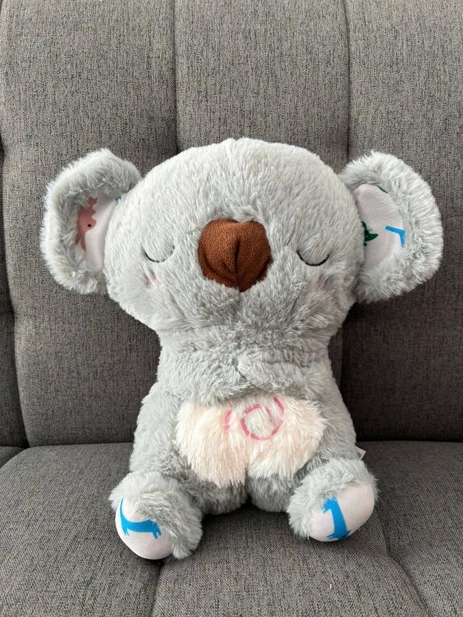Koalita