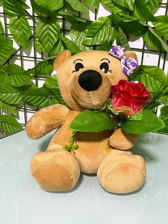 Osa con Rosa